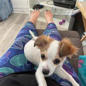 Meet your Posher, Dana